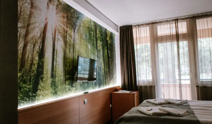 Park Hotel S�st� Ny�regyh�za - M�rcius 15. - teljes el�refizet�ssel