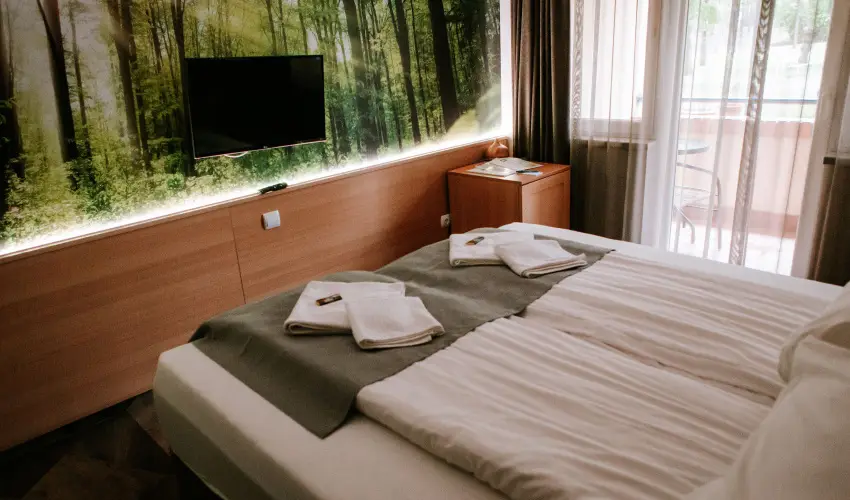 Park Hotel S�st� Ny�regyh�za - M�rcius 15. - teljes el�refizet�ssel