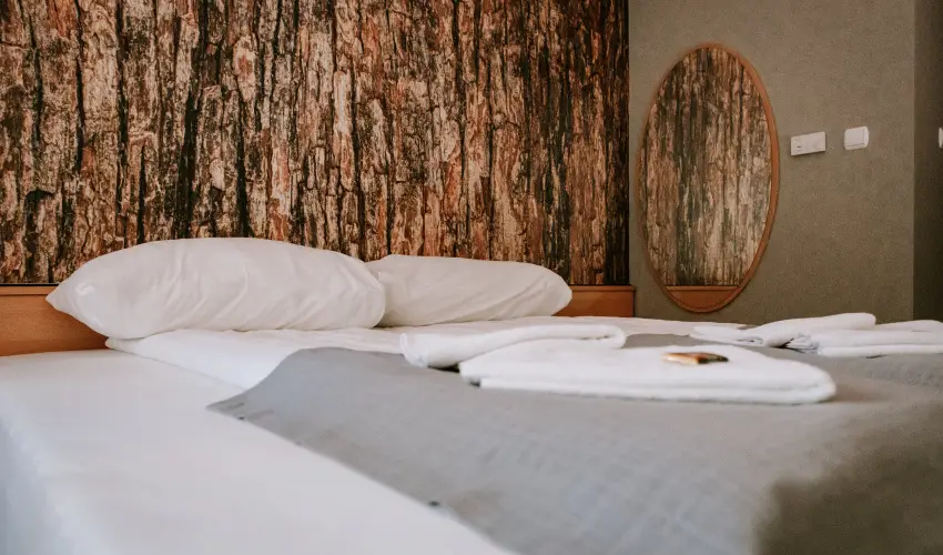 Park Hotel S�st� Ny�regyh�za - M�rcius 15. - teljes el�refizet�ssel