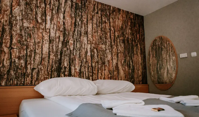 Park Hotel S�st� Ny�regyh�za - M�rcius 15. - teljes el�refizet�ssel