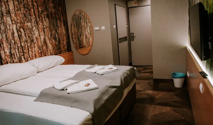 Park Hotel S�st� Ny�regyh�za - M�rcius 15. - teljes el�refizet�ssel