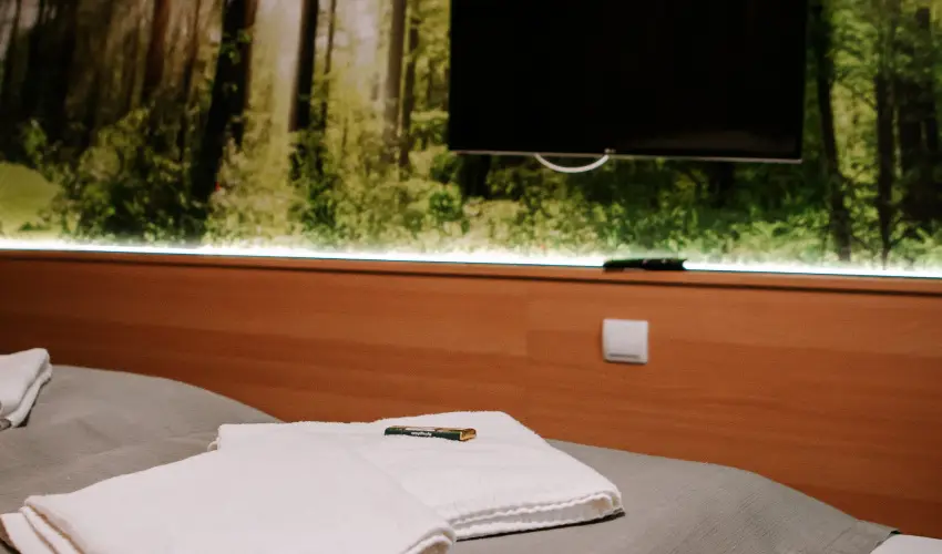Park Hotel S�st� Ny�regyh�za - M�rcius 15. - teljes el�refizet�ssel