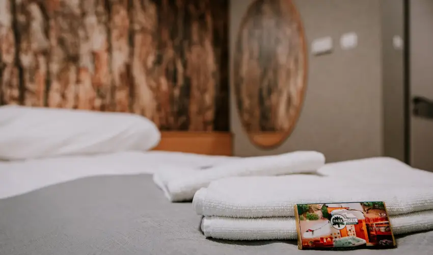 Park Hotel S�st� Ny�regyh�za - M�rcius 15. - teljes el�refizet�ssel
