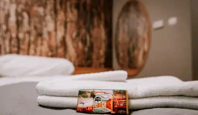 Park Hotel S�st� Ny�regyh�za