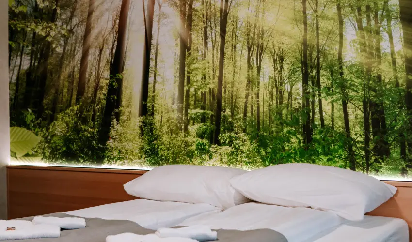 Park Hotel S�st� Ny�regyh�za - M�rcius 15. - teljes el�refizet�ssel