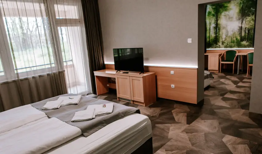 Park Hotel S�st� Ny�regyh�za - M�rcius 15. - teljes el�refizet�ssel
