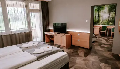 Park Hotel S�st� Ny�regyh�za