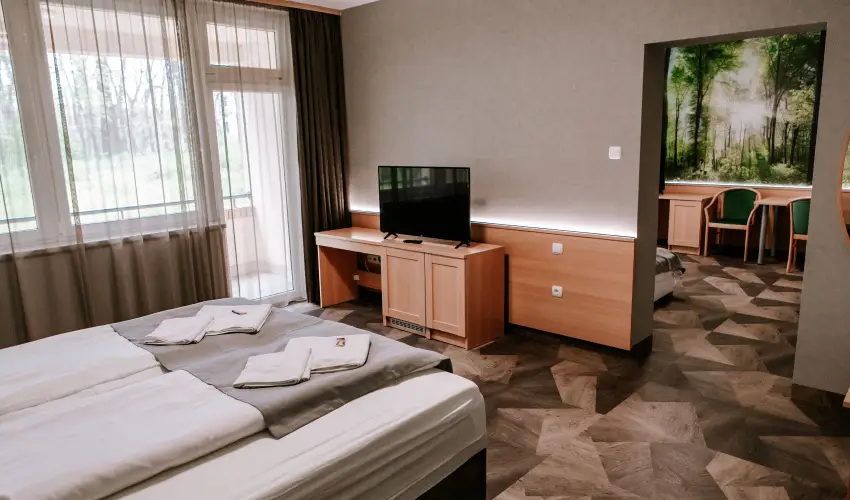 Park Hotel S�st� Ny�regyh�za - M�rcius 15. - teljes el�refizet�ssel