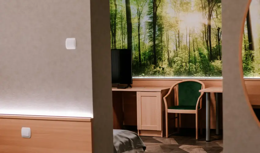 Park Hotel S�st� Ny�regyh�za - M�rcius 15. - teljes el�refizet�ssel