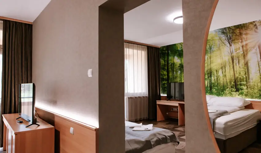 Park Hotel S�st� Ny�regyh�za - M�rcius 15. - teljes el�refizet�ssel