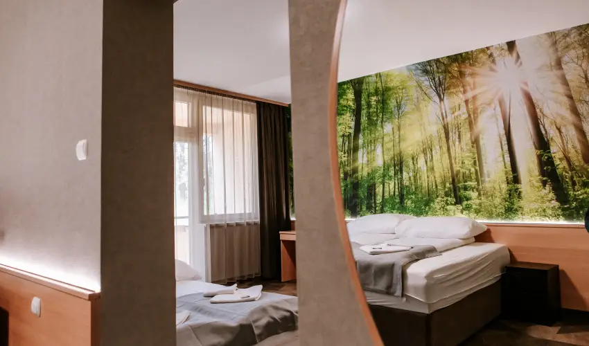 Park Hotel S�st� Ny�regyh�za - M�rcius 15. - teljes el�refizet�ssel