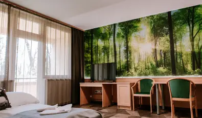 Park Hotel S�st� Ny�regyh�za