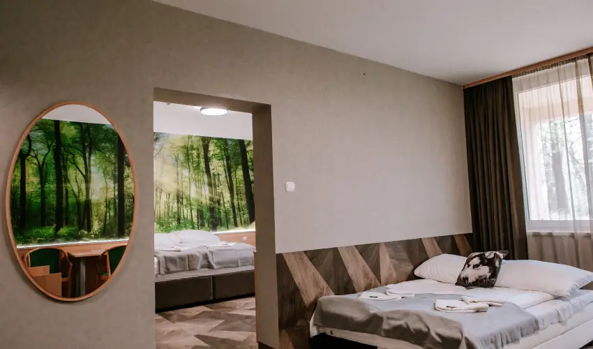 Park Hotel S�st� Ny�regyh�za - M�rcius 15. - teljes el�refizet�ssel