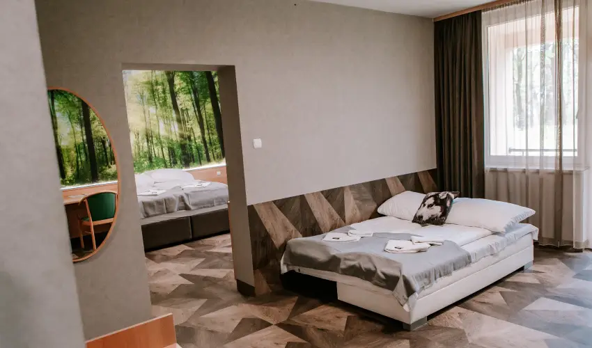 Park Hotel S�st� Ny�regyh�za - M�rcius 15. - teljes el�refizet�ssel