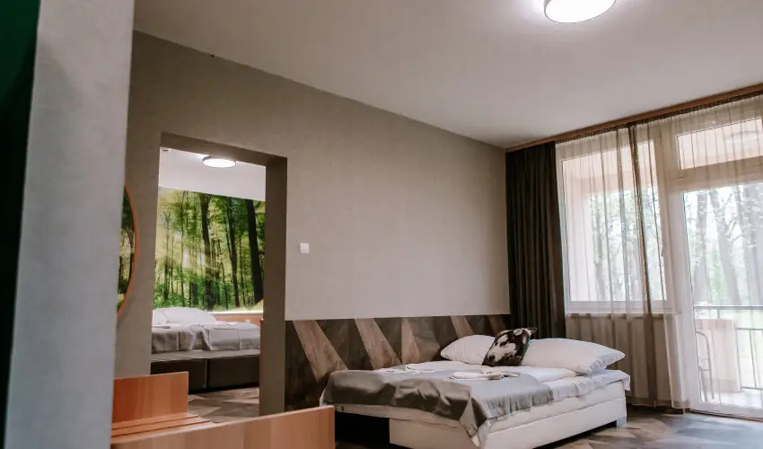 Park Hotel S�st� Ny�regyh�za - M�rcius 15. - teljes el�refizet�ssel