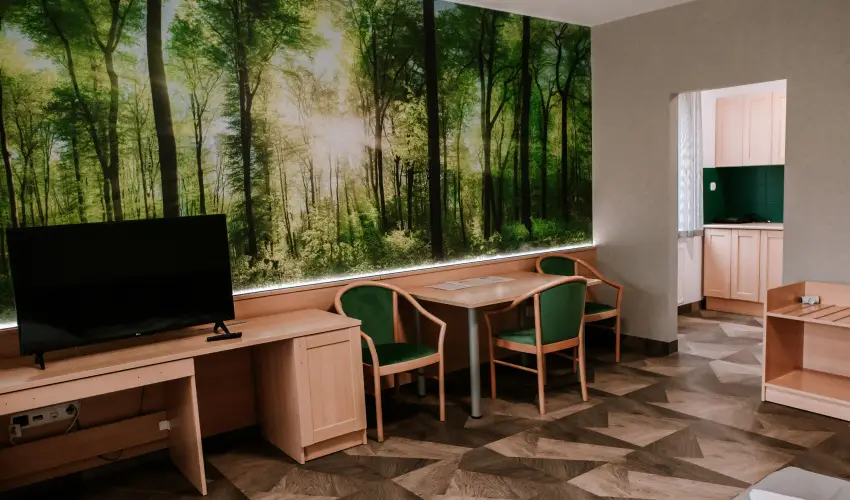 Park Hotel S�st� Ny�regyh�za - M�rcius 15. - teljes el�refizet�ssel