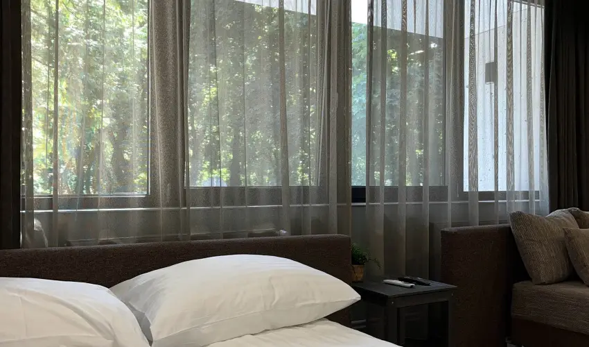 Park Hotel S�st� Ny�regyh�za - M�rcius 15. - teljes el�refizet�ssel