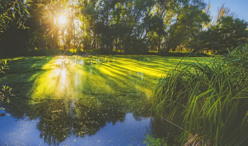 Park Inn by Radisson Zalakaros Resort & Spa Zalakaros - Szabads�got a testednek, �lvezetet a hasadnak! (1 �jt�l)