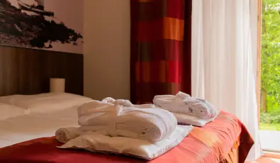 Royal Club Hotel Visegr�d
