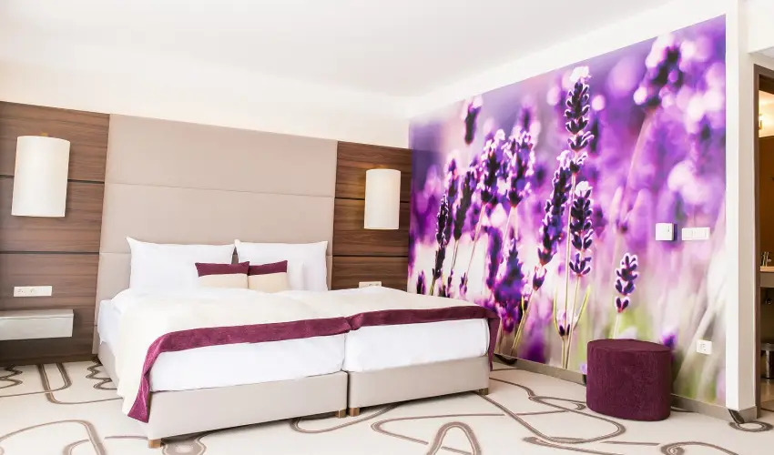 Ambient Hotel & ThermalSPA**** Sikonda - M�rcius 15. (min. 2 �j)
