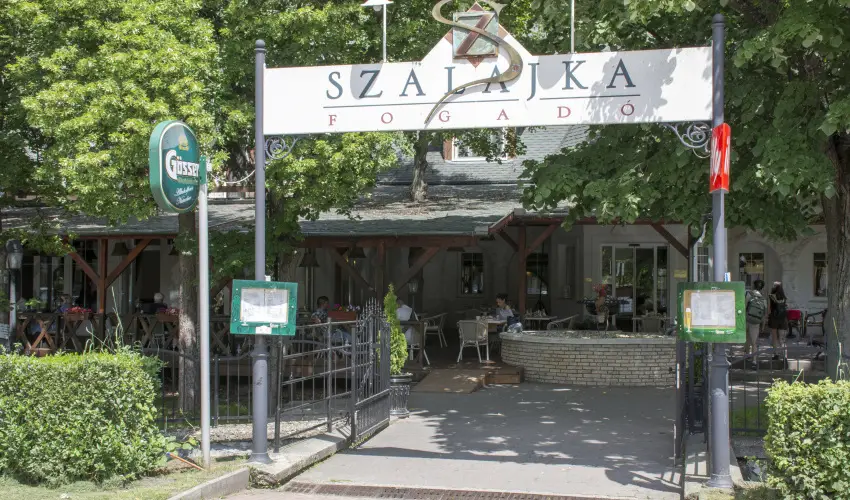Szalajka Fogad� Szilv�sv�rad - M�rcius 15. (min. 2 �j)