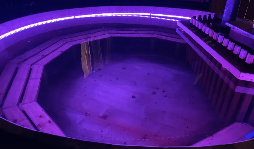 Tams Apartman Balatonfldvr - Mrcius 15. (min. 7 j)