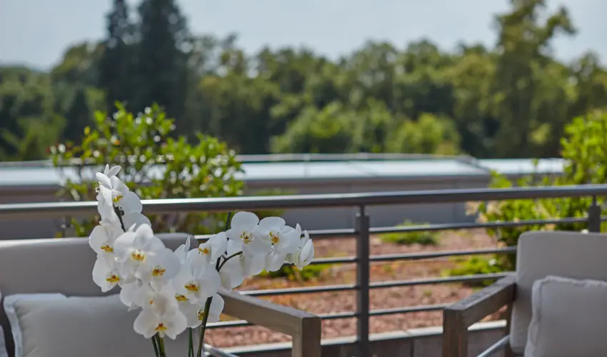 Thermal Hotel Balance  Lenti - M�rcius 15. 