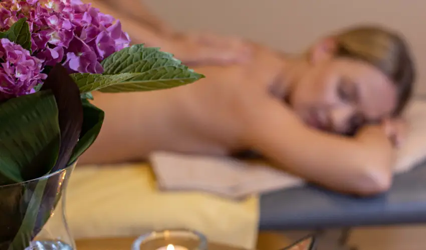 Thermal Hotel Visegr�d Visegr�d - M�rcius 15. (min. 3 �j)