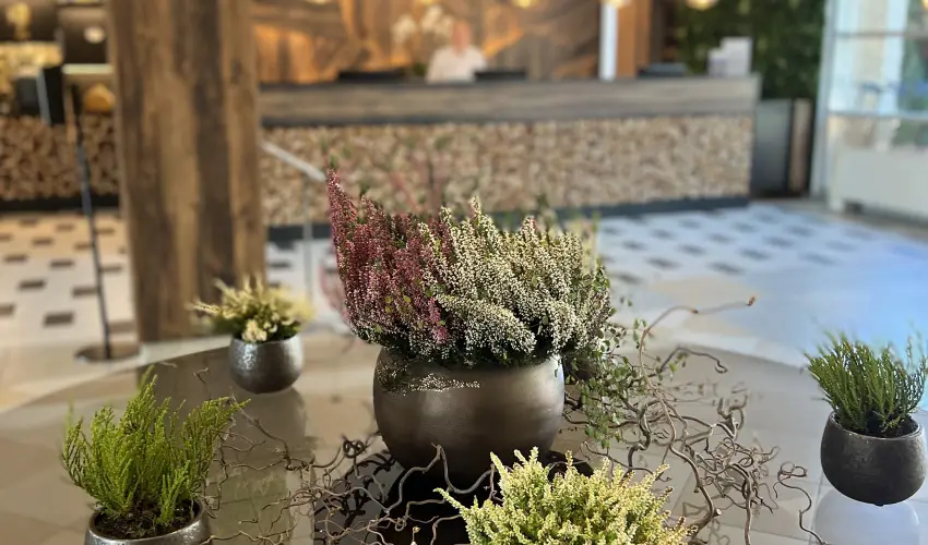 Thermal Hotel Visegr�d Visegr�d - M�rcius 15. (min. 3 �j)