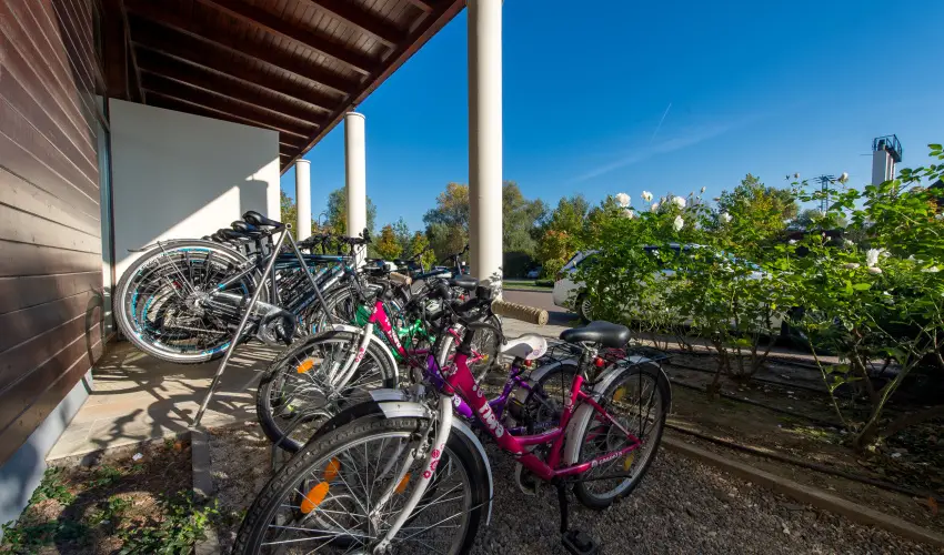 Tisza Balneum Hotel Tiszaf�red - Borvacsora Mautner Zs�fi�val (min. 2 �j)