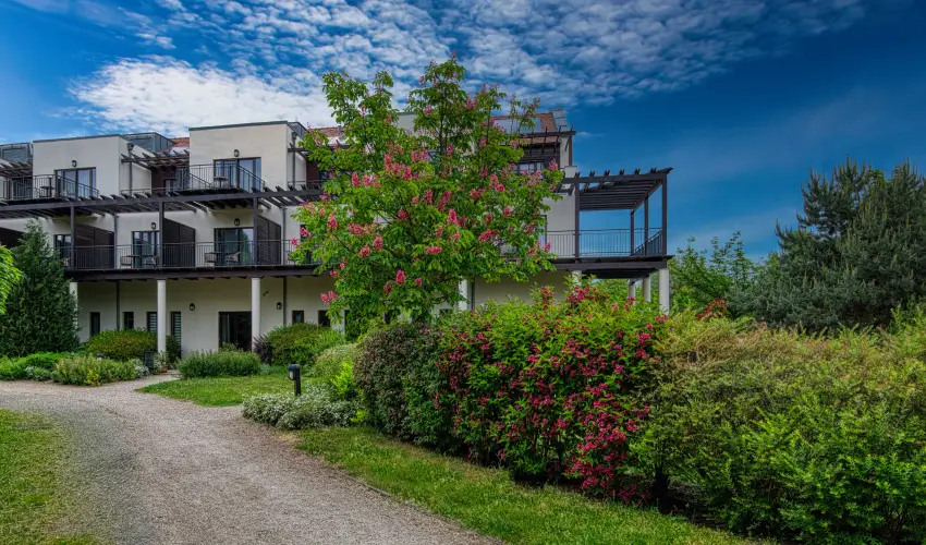 Tisza Balneum Hotel Tiszaf�red - Borvacsora Mautner Zs�fi�val (min. 2 �j)