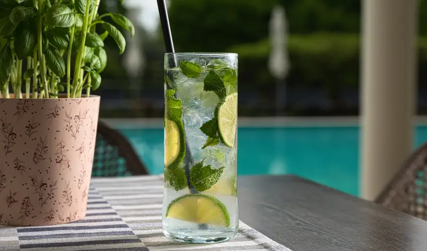 Tisza Balneum Hotel Tiszaf�red - Borvacsora Mautner Zs�fi�val (min. 2 �j)