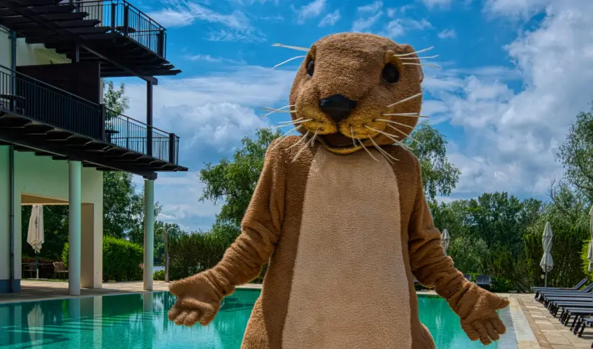 Tisza Balneum Hotel Tiszaf�red - Borvacsora Mautner Zs�fi�val (min. 2 �j)