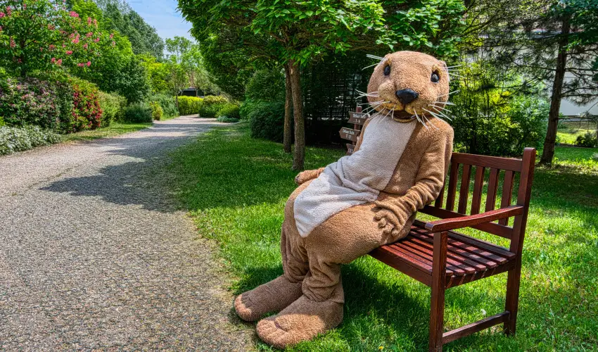 Tisza Balneum Hotel Tiszaf�red - Borvacsora Mautner Zs�fi�val (min. 2 �j)