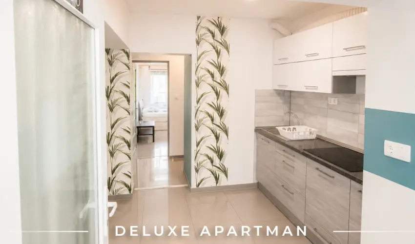 Tisza Gy�ngye Apartmanok Szeged - M�rcius 15.