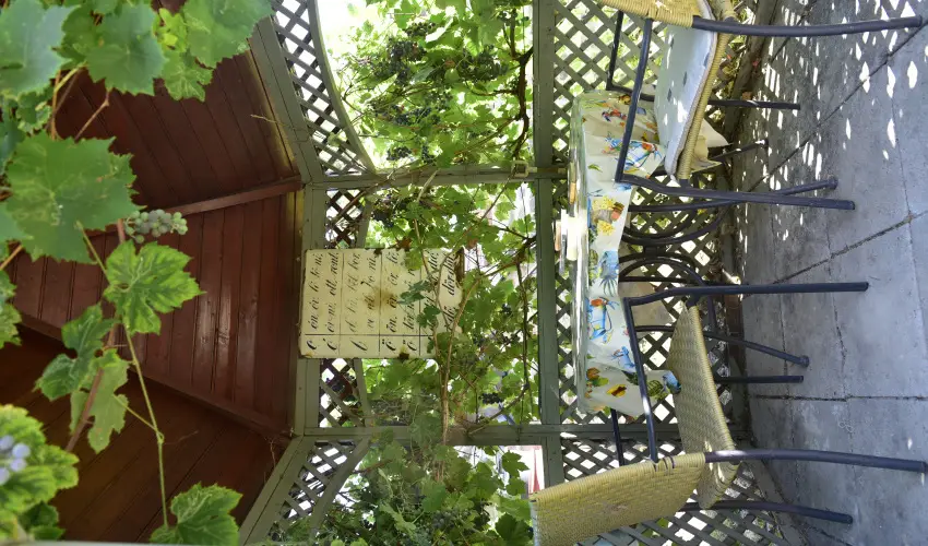 Torn�cos Vend�gh�z K�r�shegy - M�rcius 15.