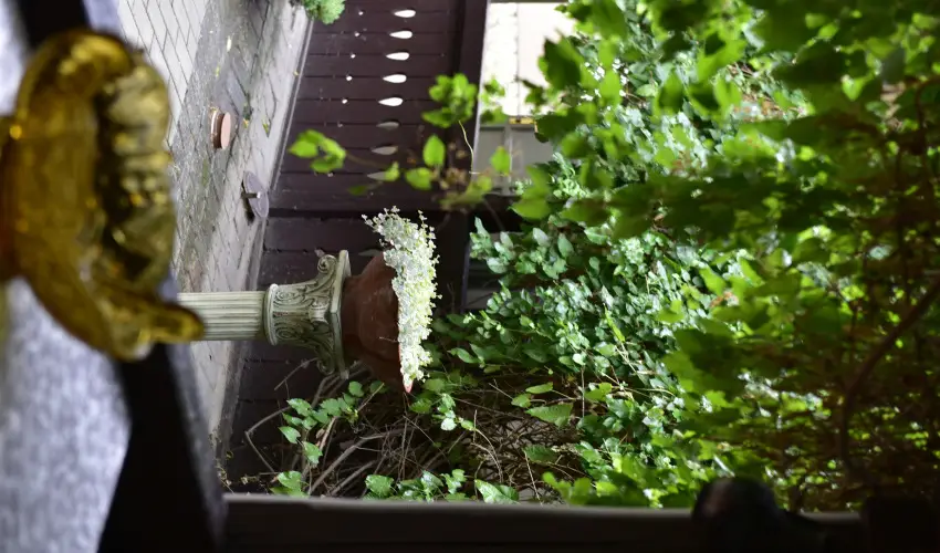 Torn�cos Vend�gh�z K�r�shegy - M�rcius 15.