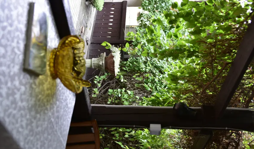 Torn�cos Vend�gh�z K�r�shegy - M�rcius 15.