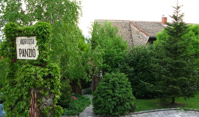 Vadr�zsa Vend�gh�z Szentendre - M�rcius 15. (min. 2 �j)