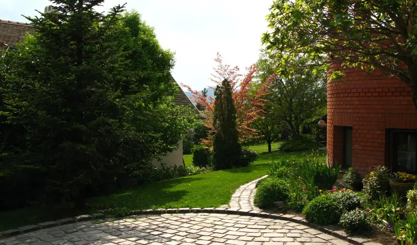 Vadr�zsa Vend�gh�z Szentendre - M�rcius 15. (min. 2 �j)