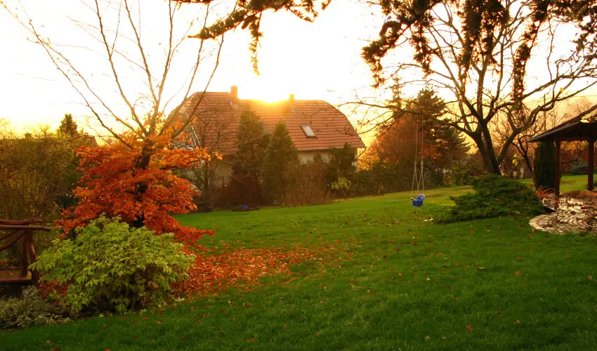 Vadr�zsa Vend�gh�z Szentendre - M�rcius 15. (min. 2 �j)