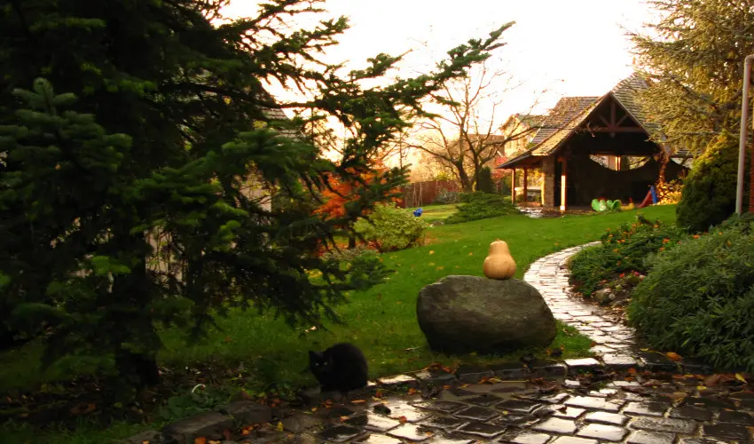 Vadr�zsa Vend�gh�z Szentendre - M�rcius 15. (min. 2 �j)