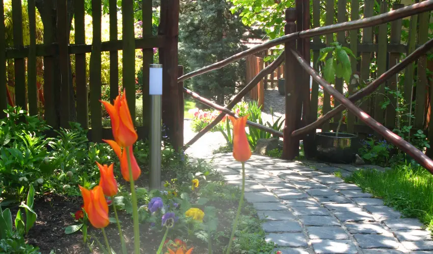 Vadr�zsa Vend�gh�z Szentendre - M�rcius 15. (min. 2 �j)