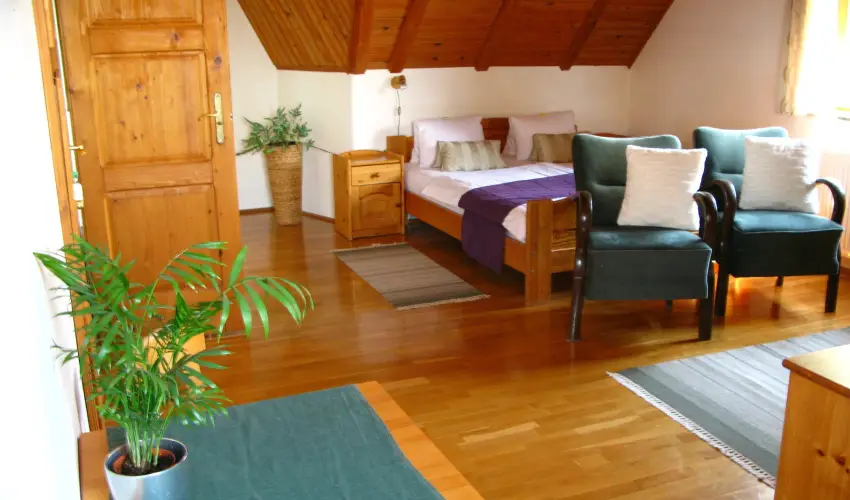 Vadr�zsa Vend�gh�z Szentendre - M�rcius 15. (min. 2 �j)