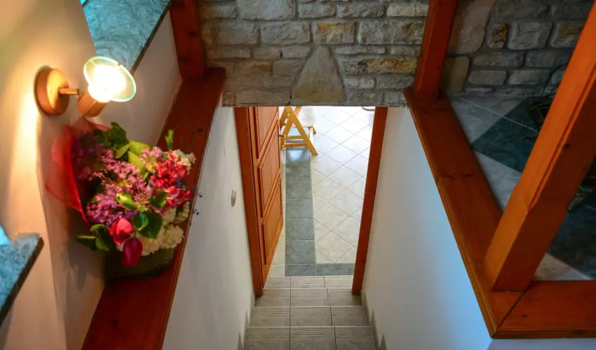 Vadr�zsa Vend�gh�z Szentendre - M�rcius 15. (min. 2 �j)
