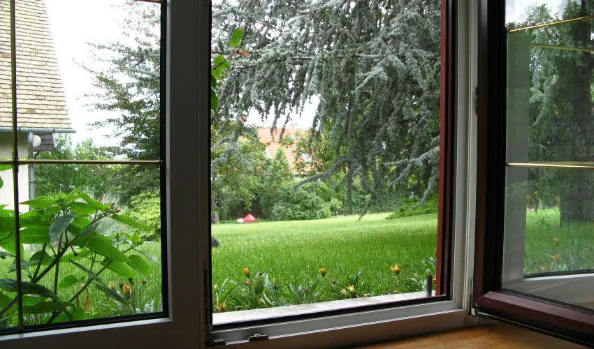 Vadr�zsa Vend�gh�z Szentendre - M�rcius 15. (min. 2 �j)
