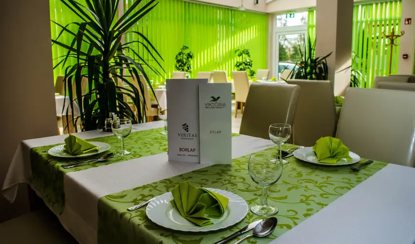 Wellness Hotel Viktria Nagyatd - Mrcius 15-i ajnlat, frdbelpvel (min. 2 j)