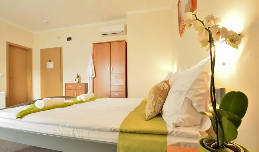 Wellness Hotel Viktria Nagyatd - Mrcius 15-i ajnlat, frdbelpvel (min. 2 j)