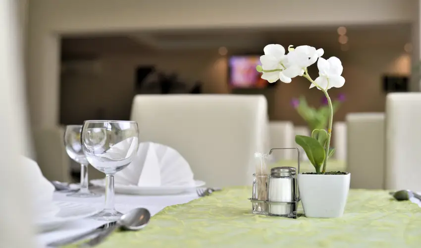 Wellness Hotel Viktria Nagyatd - Mrcius 15-i ajnlat, frdbelpvel (min. 2 j)