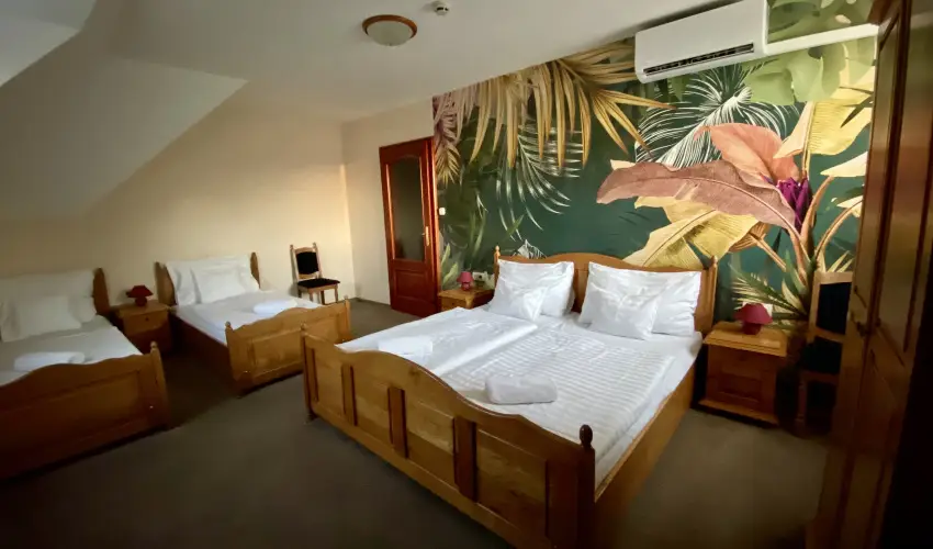 Hotel Villa Park Szilv�sv�rad - M�rcius 15. 